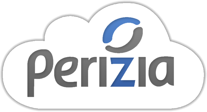 PERIZIA ONLINE